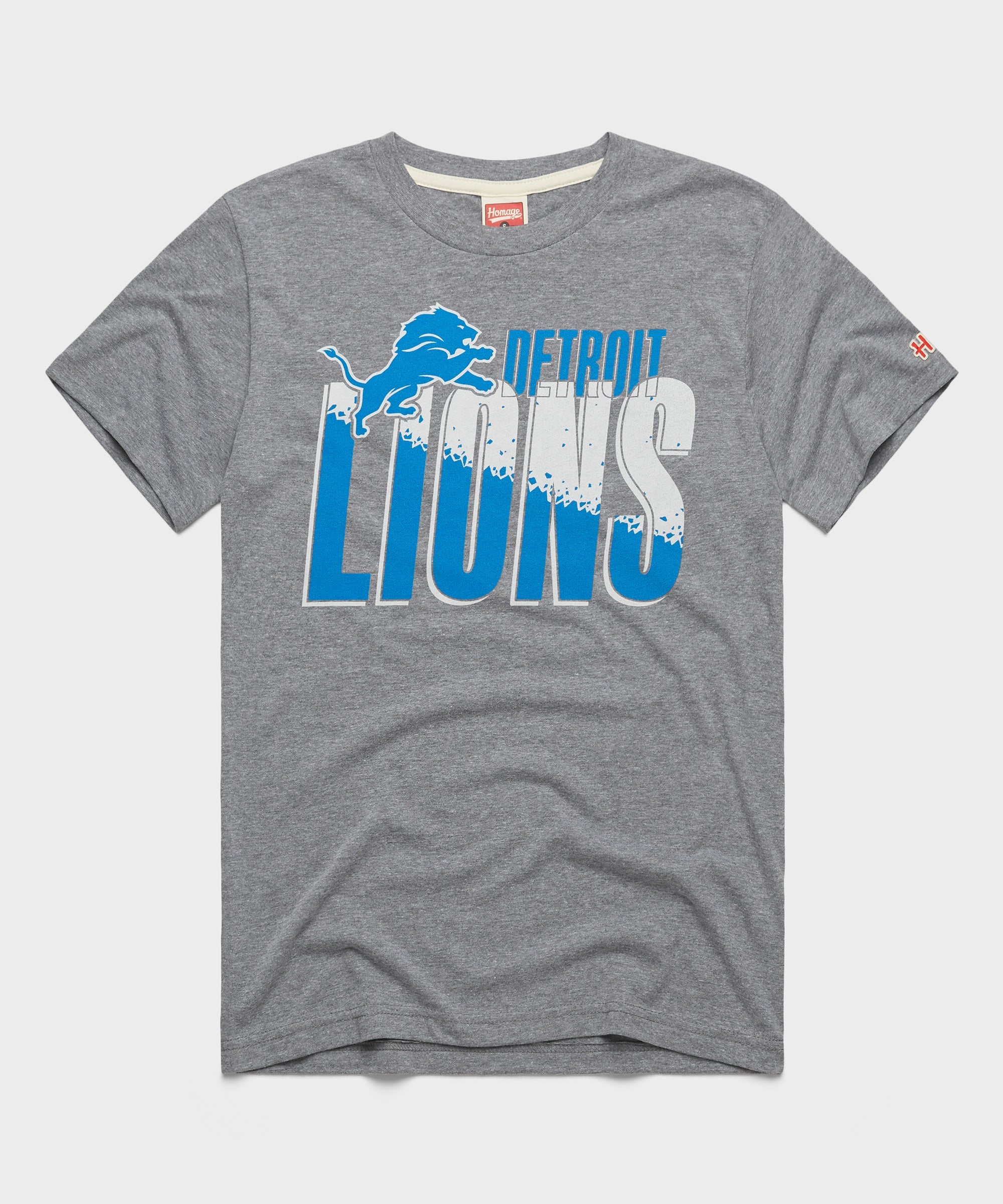 Detroit Lions Color Splash