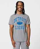 Detroit Lions Gridiron