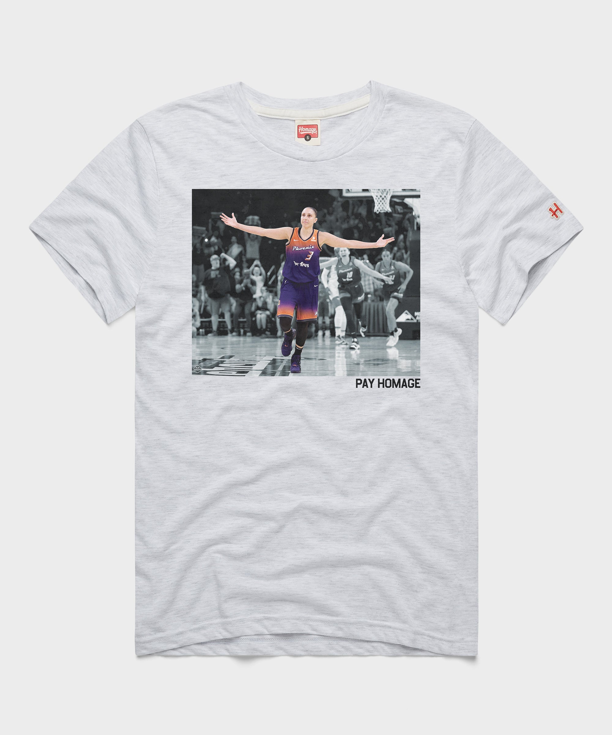 Diana Taurasi Pay Homage Ash