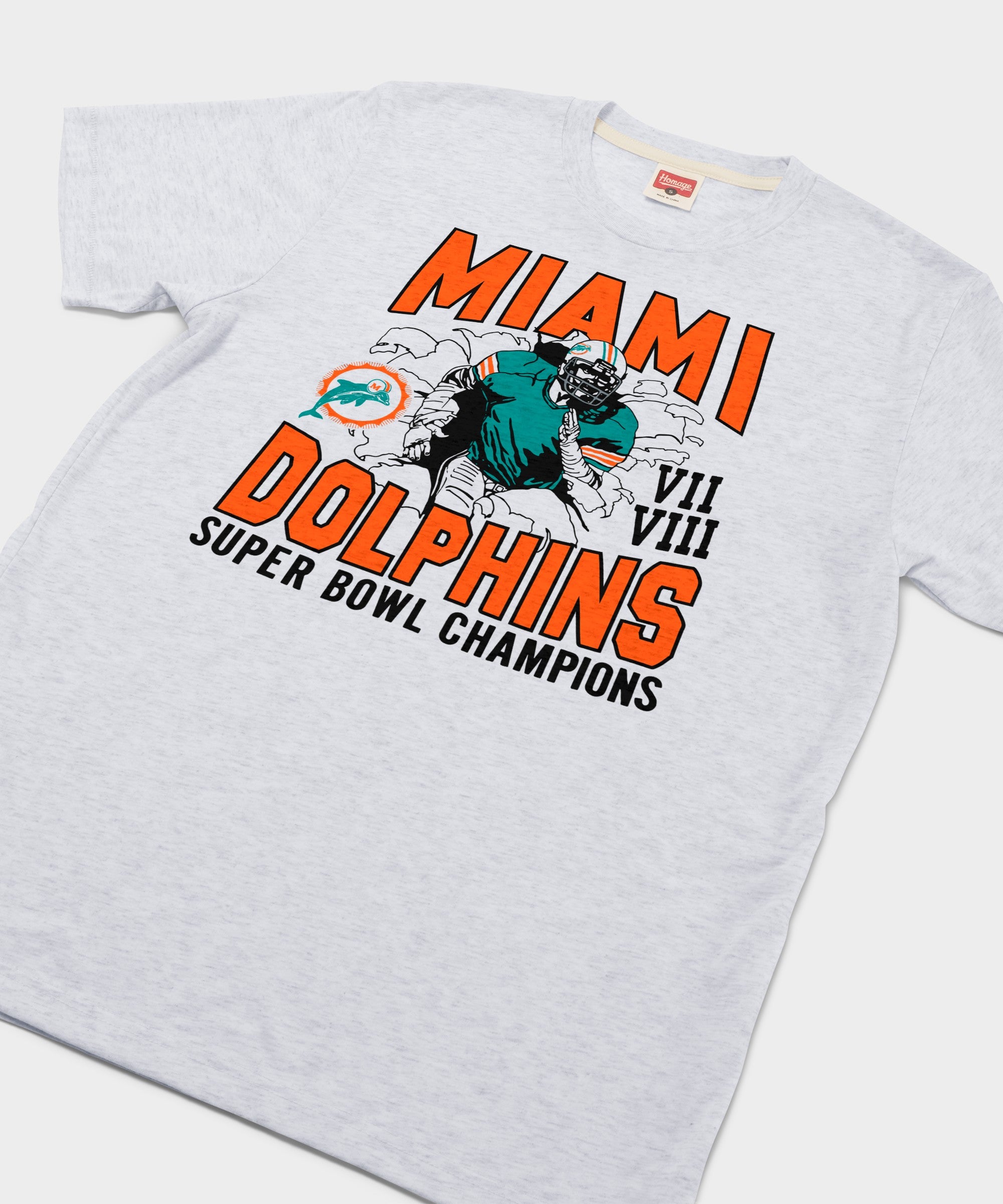 Dolphins 2 Time Super Bowl Champions