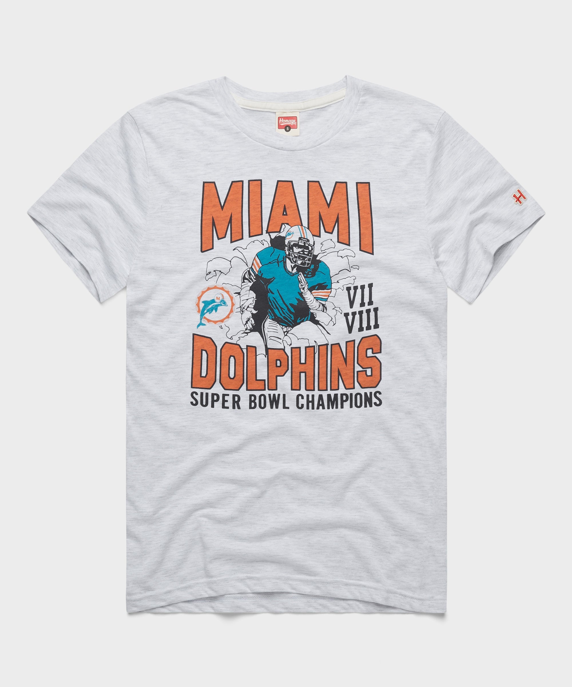Dolphins 2 Time Super Bowl Champions