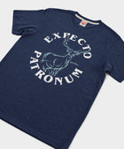 Expecto Patronum