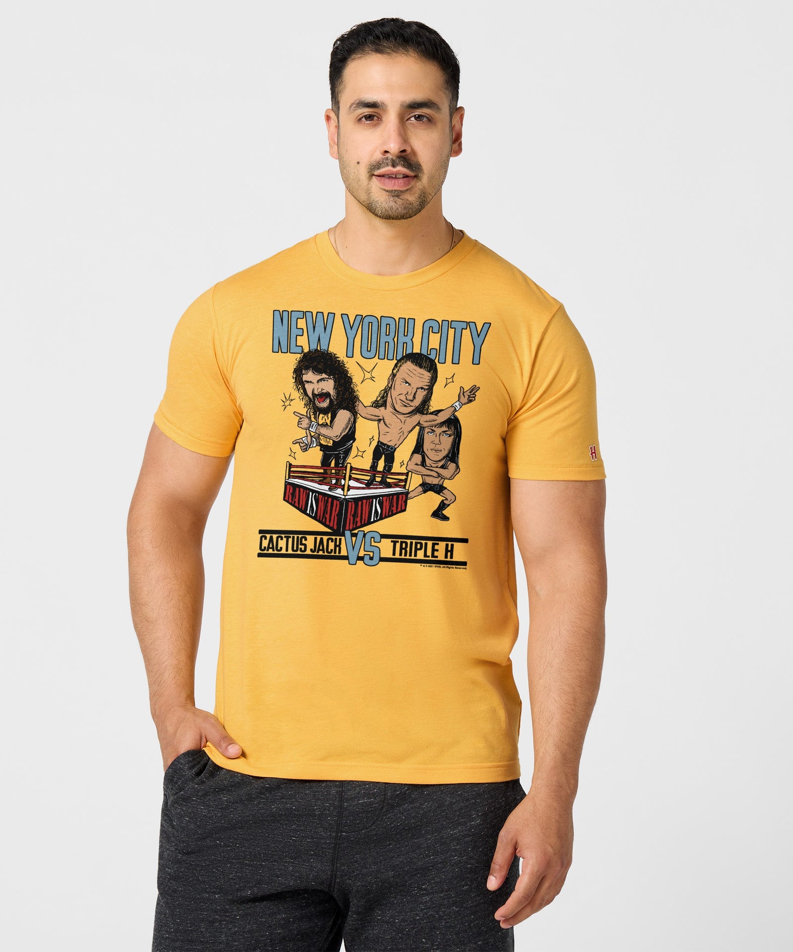 Falls Count Anywhere Cactus Jack Vs Triple H