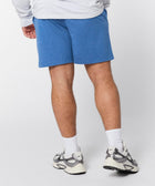 Go To Lightweight Shorts