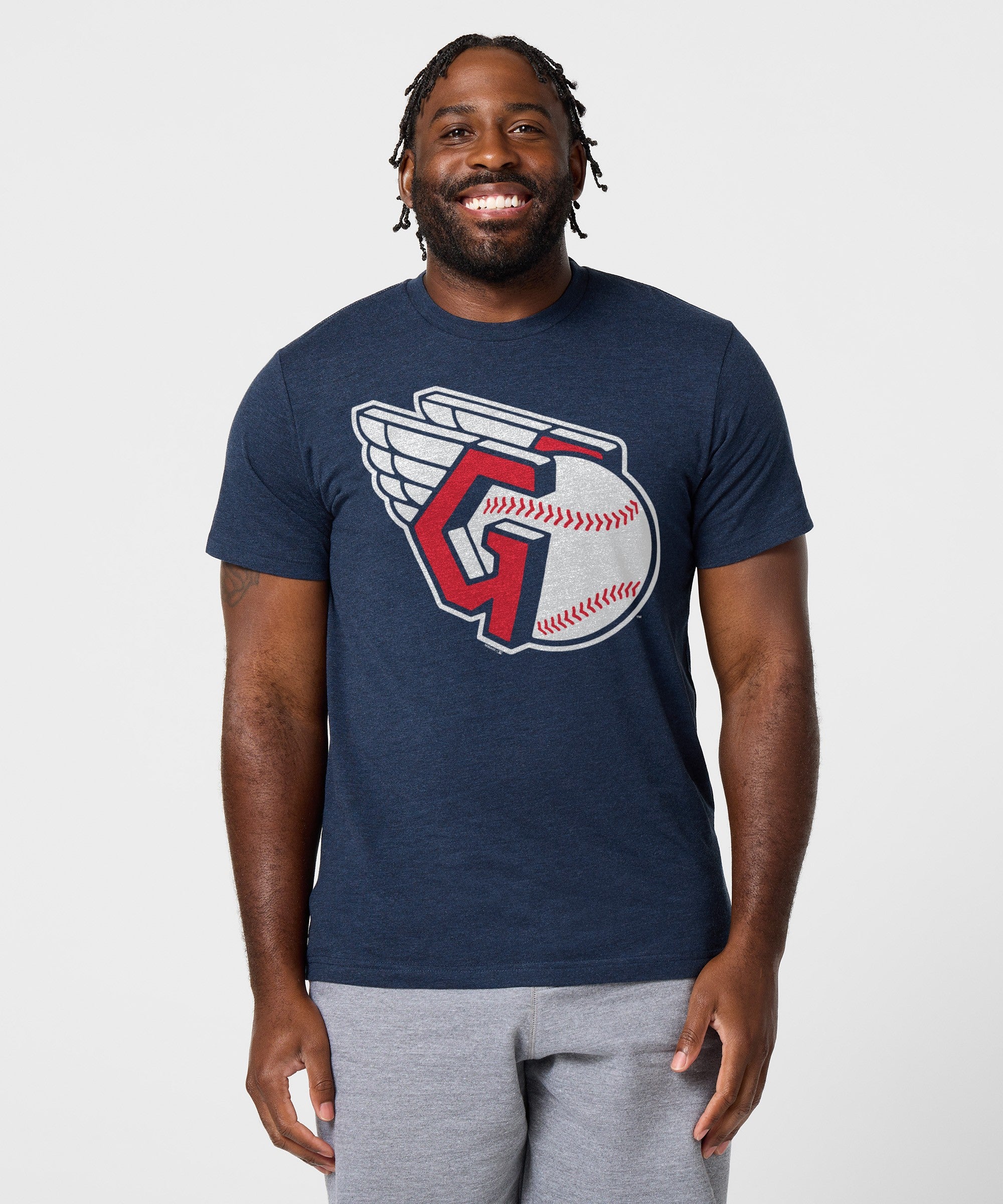 Guardians Wings