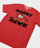 Harry The Hawk