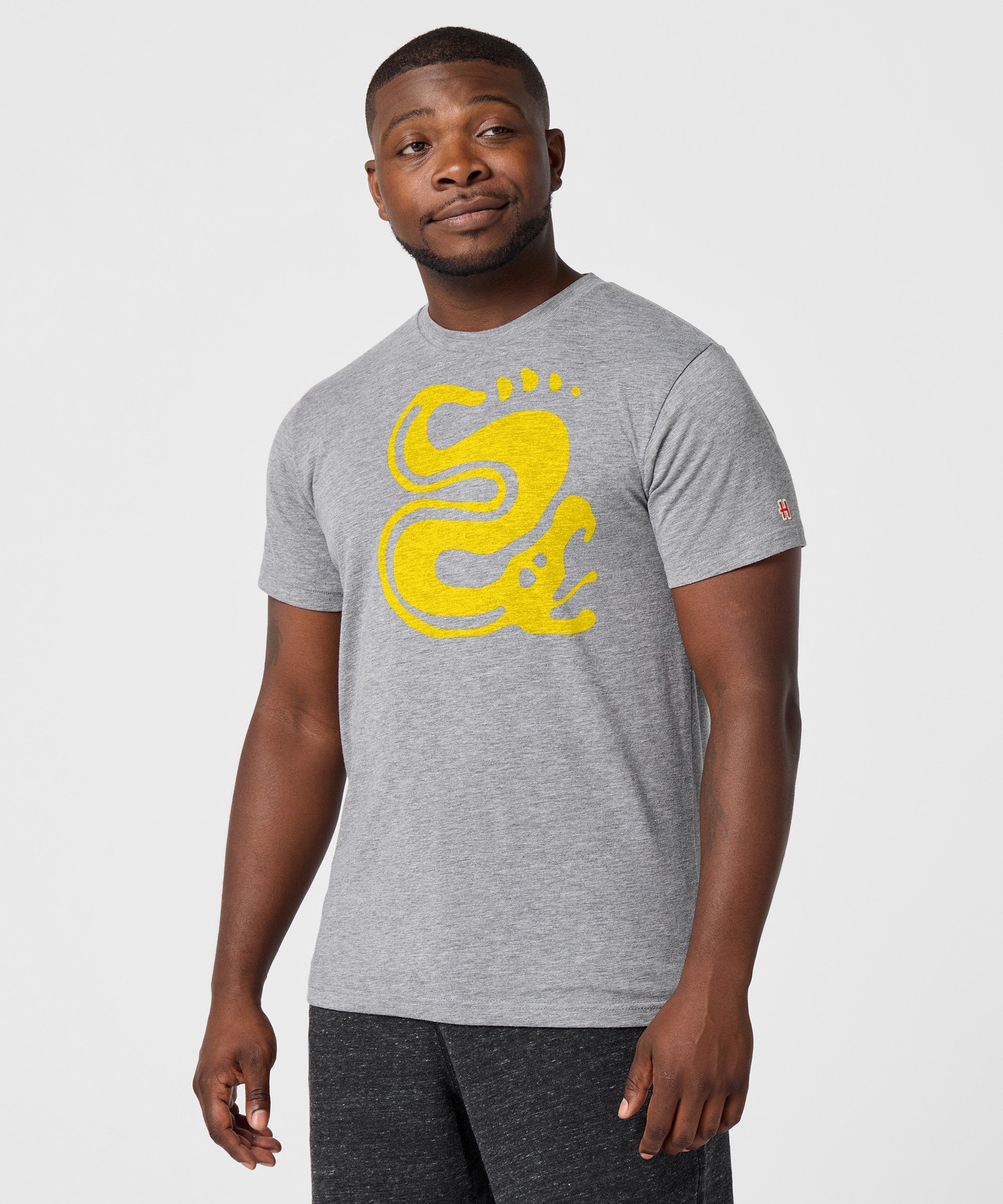 Hidden Temple Silver Snakes