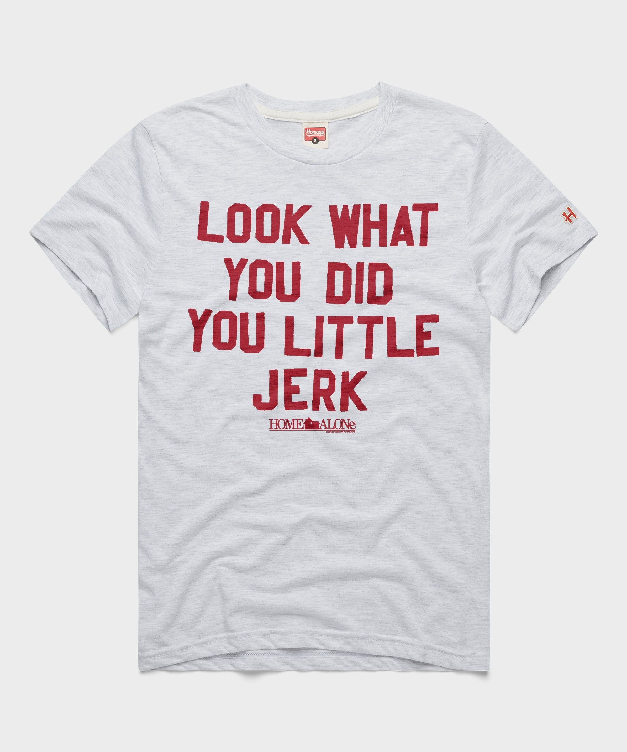 Home Alone Look What You Did Ash