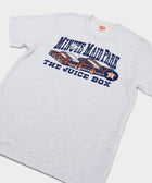 Houston Astros Minute Maid Park