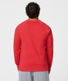 Houston Texans Helmet Crewneck