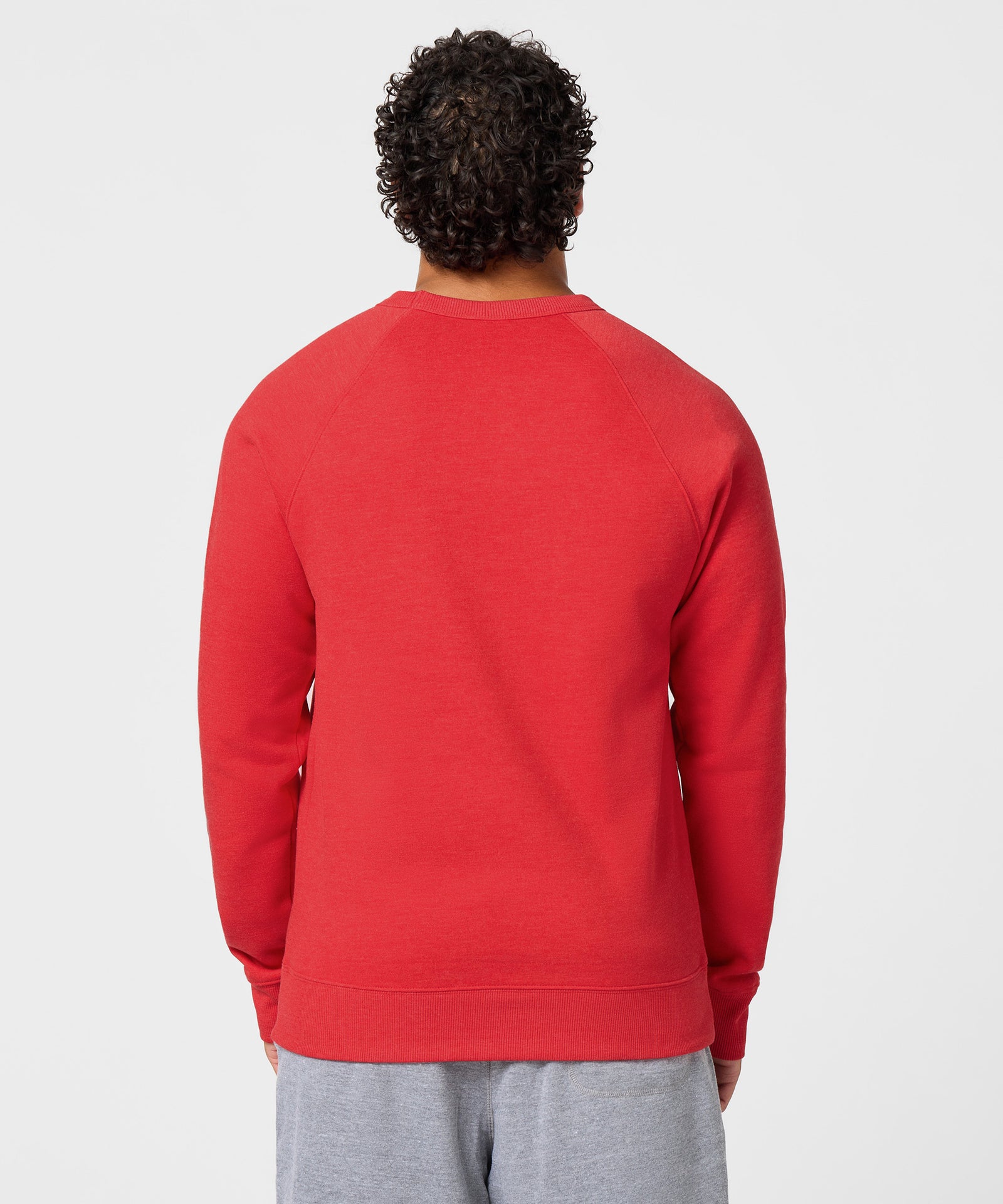 Houston Texans Helmet Crewneck