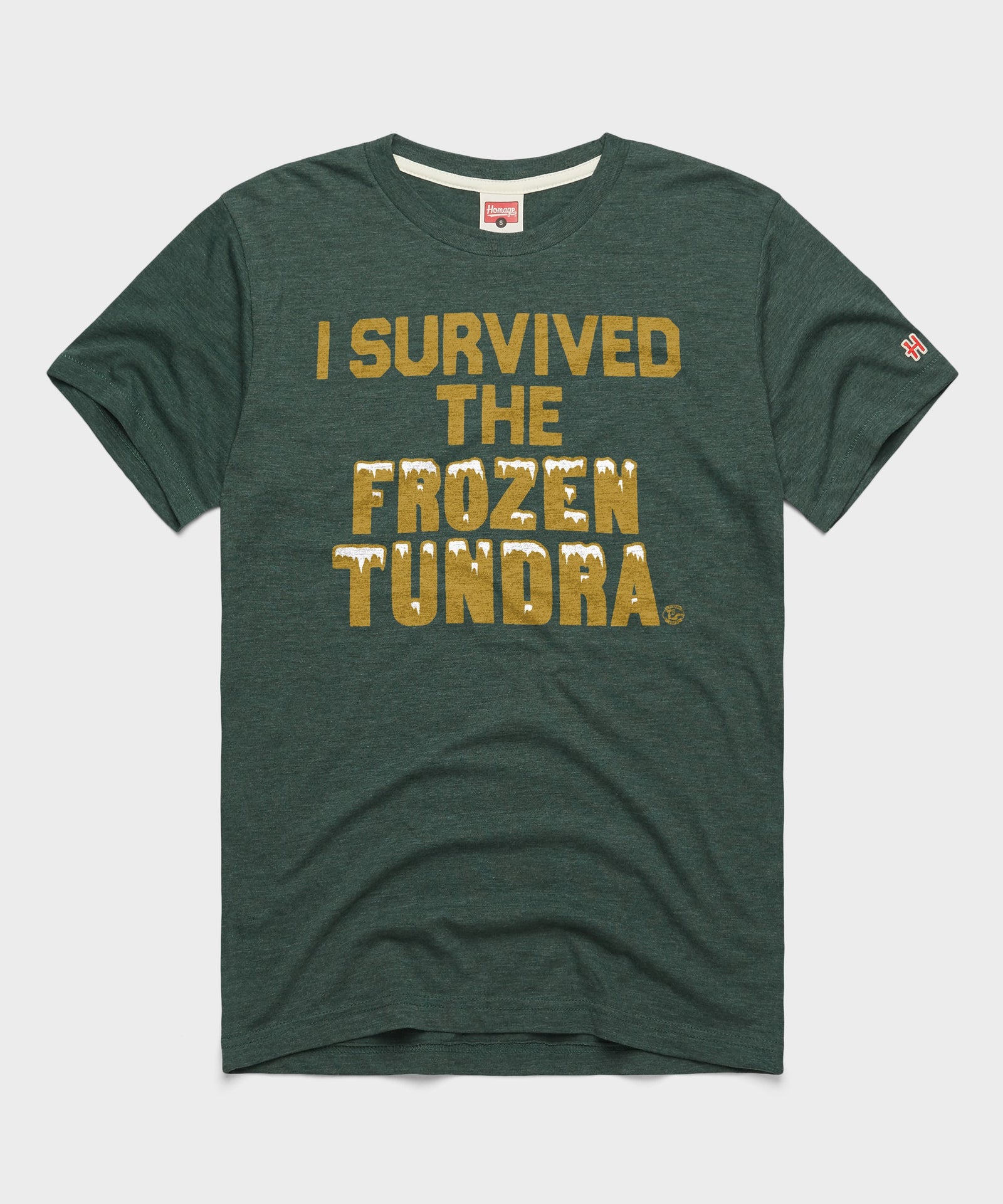 I Survived The Frozen Tundra