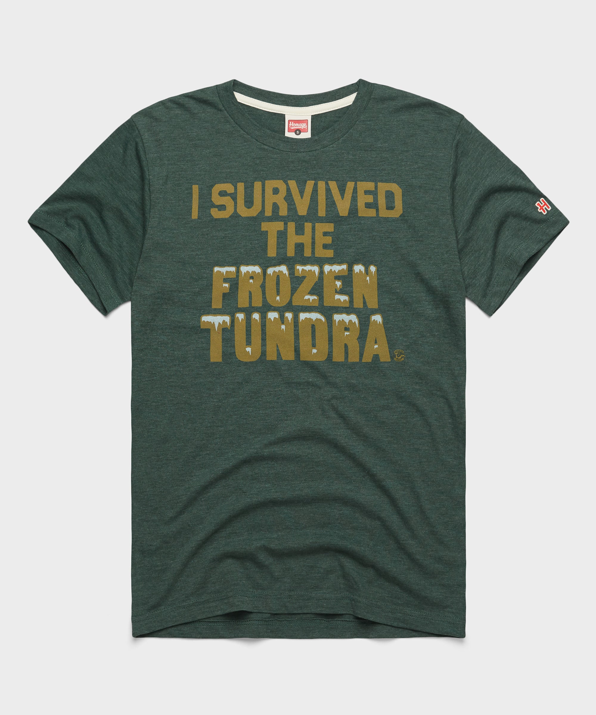 I Survived the Frozen Tundra