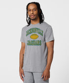 Jacksonville Jaguars Gridiron