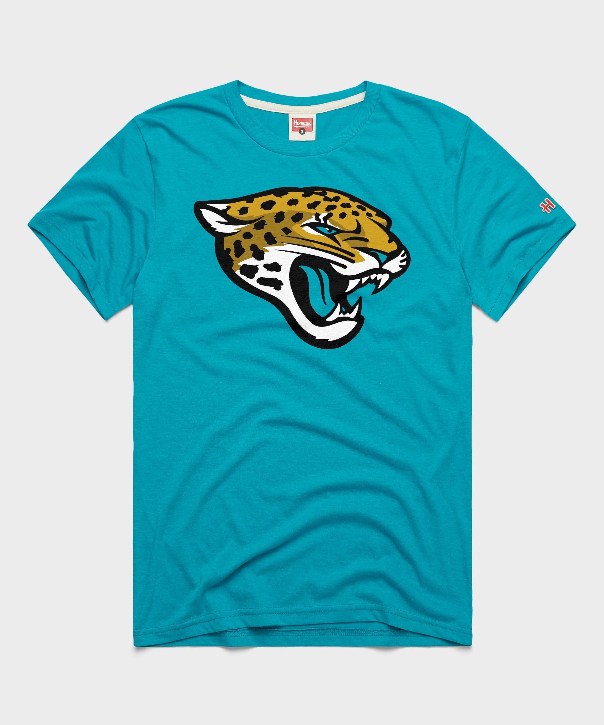 Jacksonville Jaguars '13