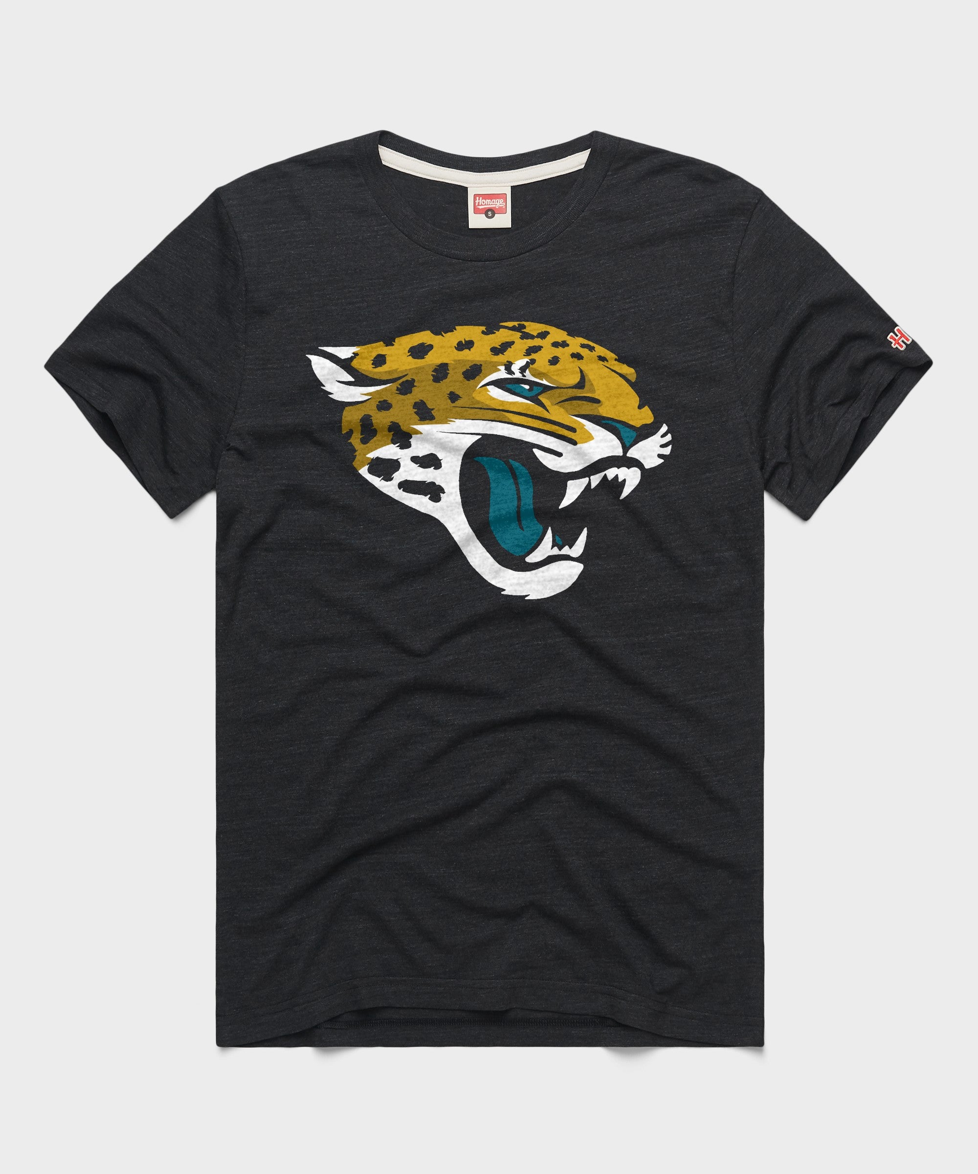 Jacksonville Jaguars '13