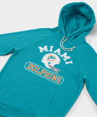 Miami Dolphins Throwback Helmet Hoodie