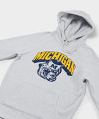 Michigan Wolverine Hoodie