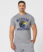 Michigan Wolverines Big Helmet