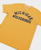 Michigan Wolverines Classic