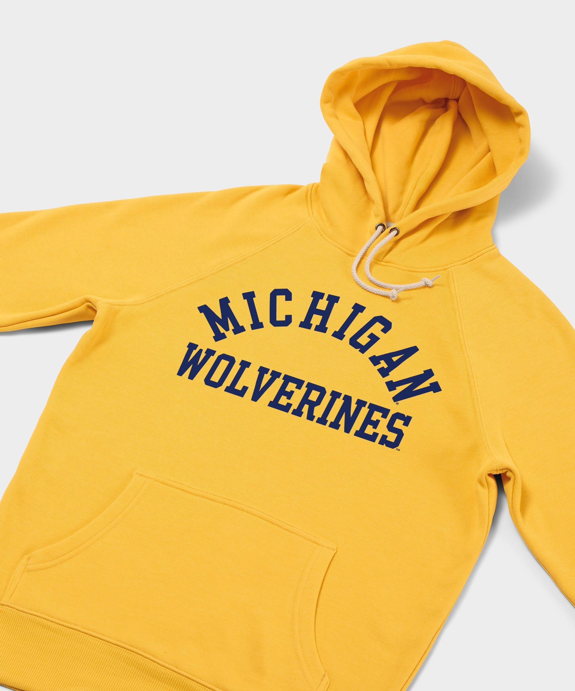 Michigan Wolverines Classic Hoodie