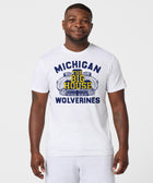 Michigan Wolverines The Big House
