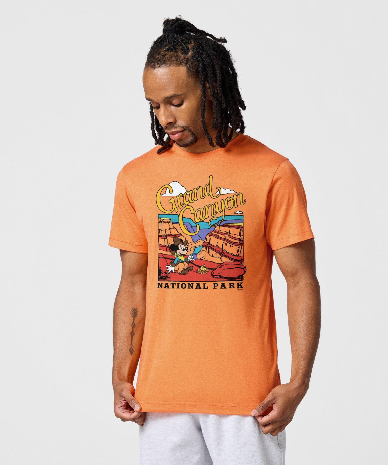 Mickey Mouse x Grand Canyon National Park