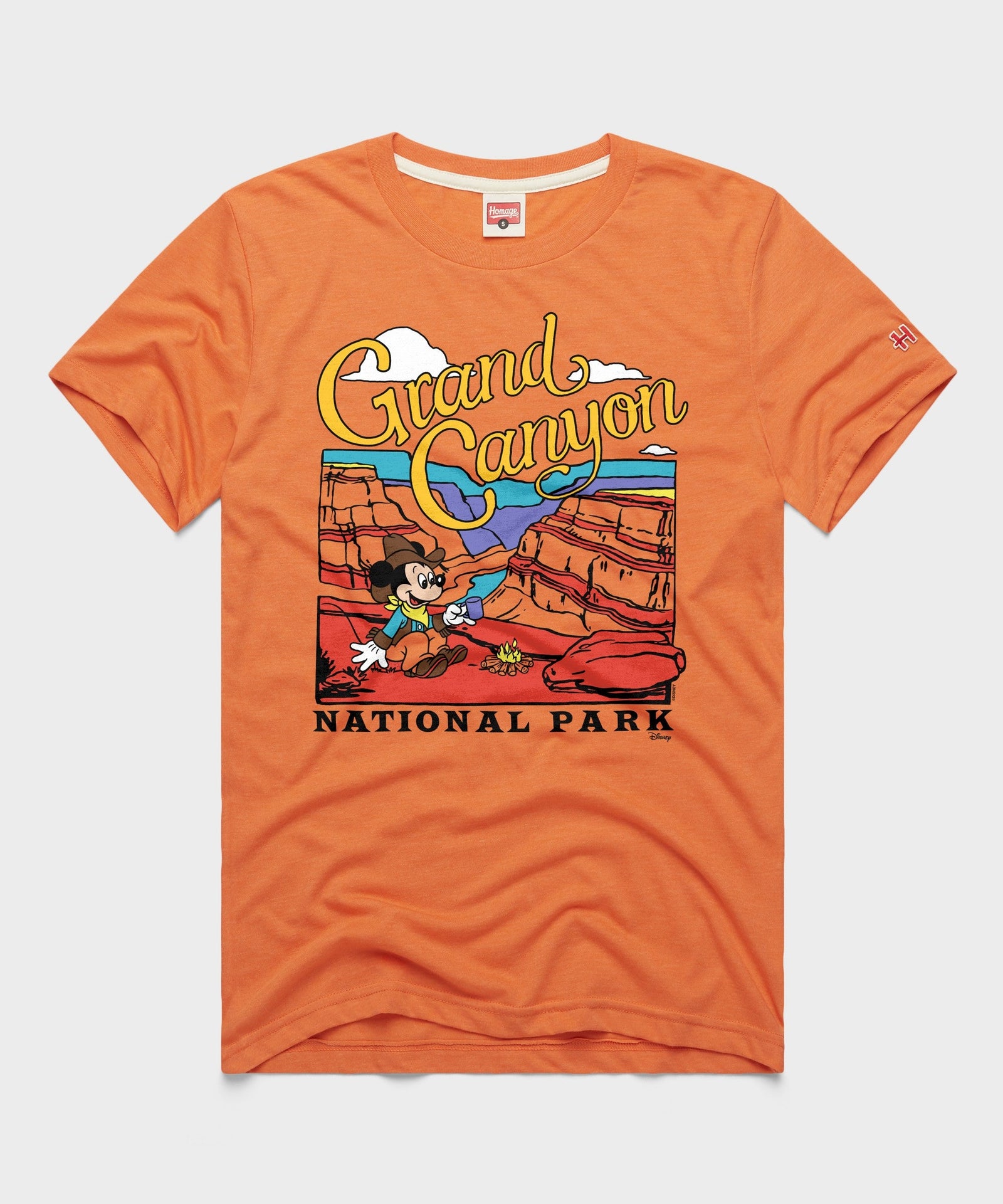 Mickey Mouse x Grand Canyon National Park