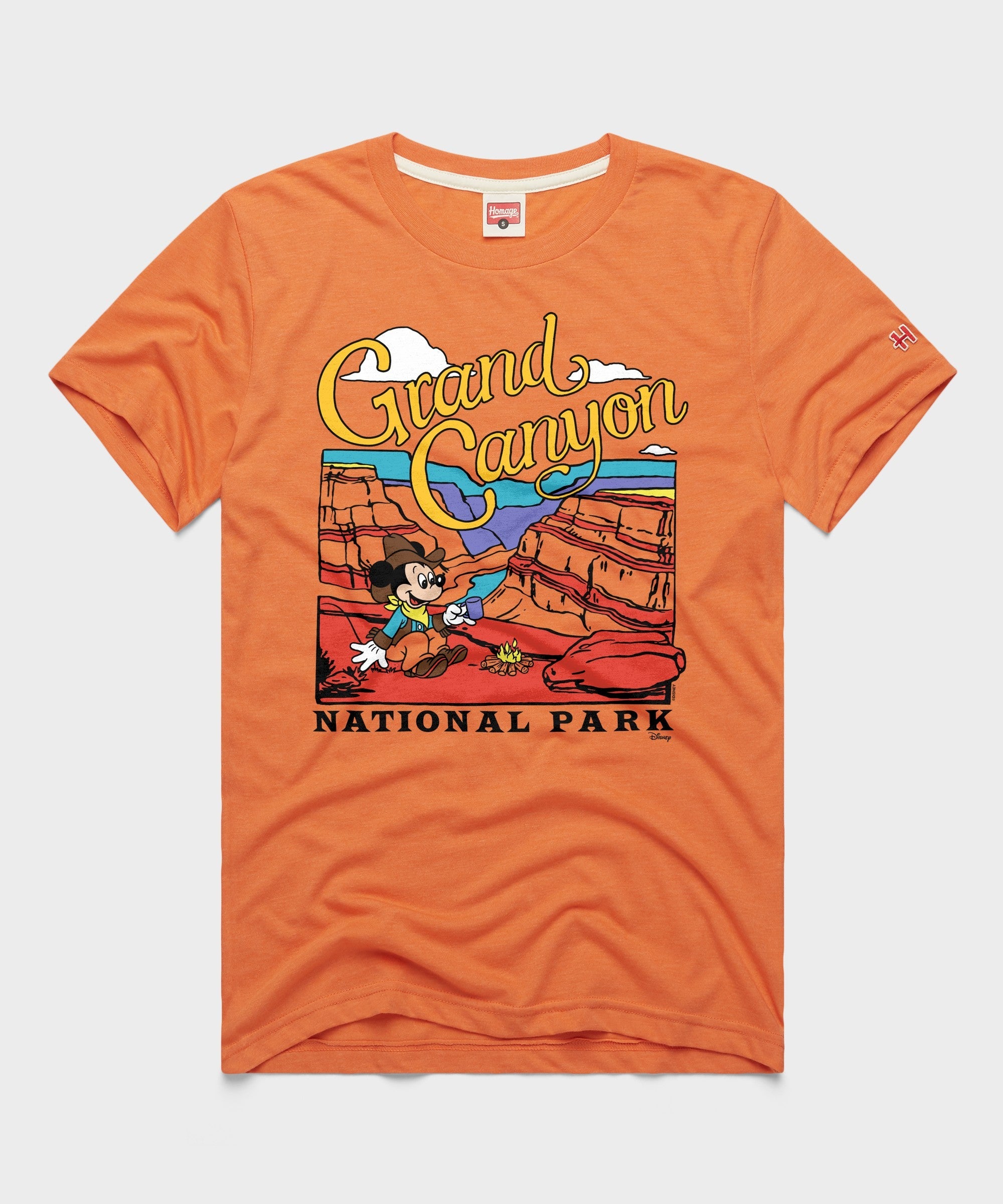 Mickey Mouse x Grand Canyon National Park