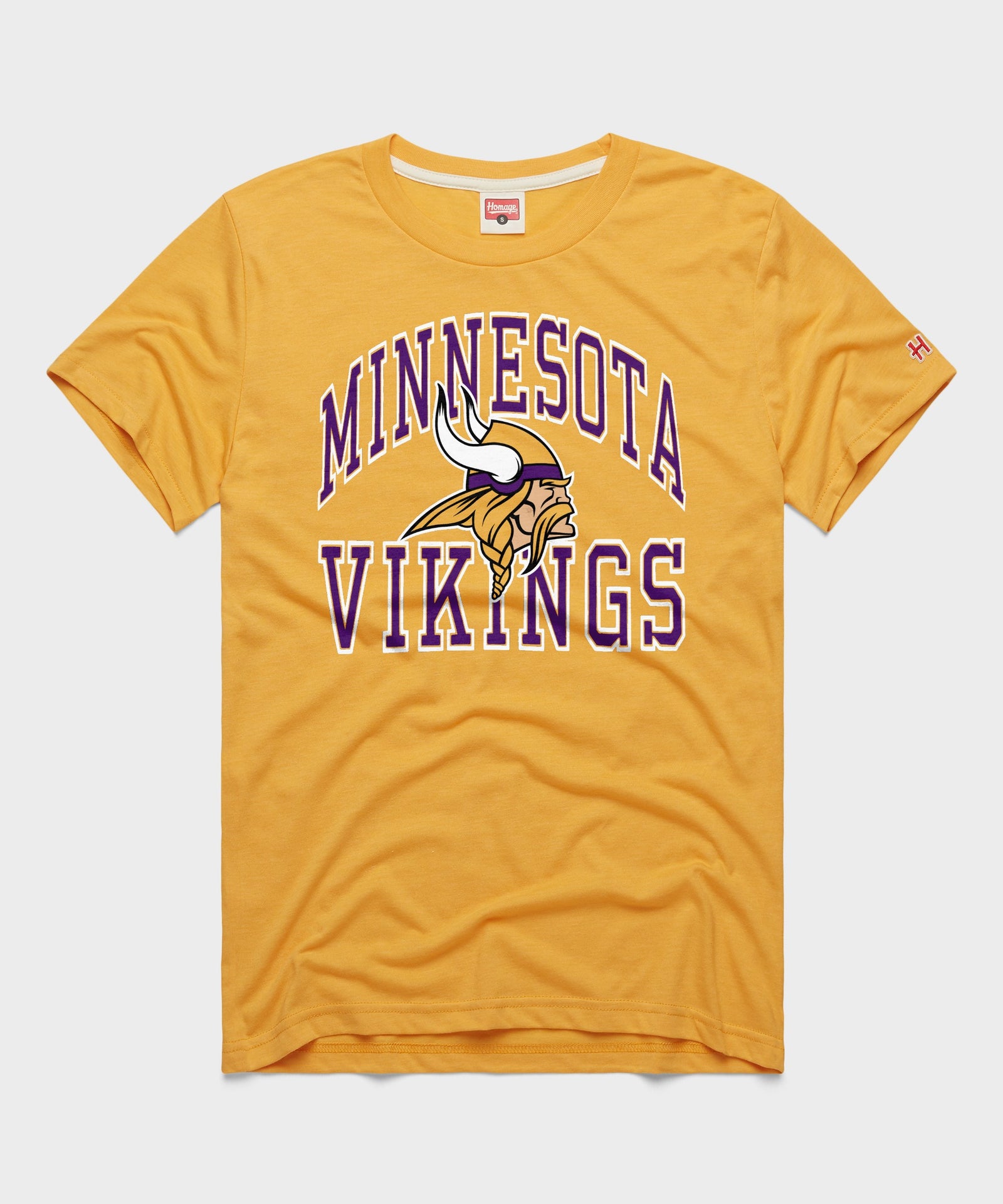 Minnesota Vikings Arch
