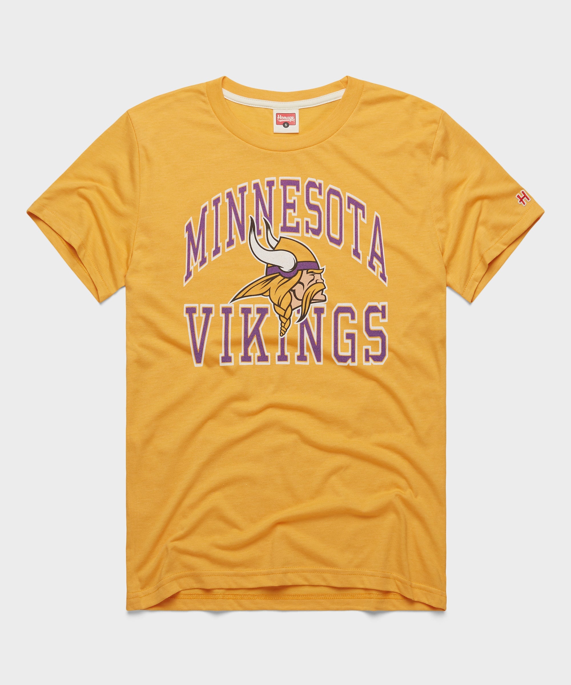 Minnesota Vikings Arch