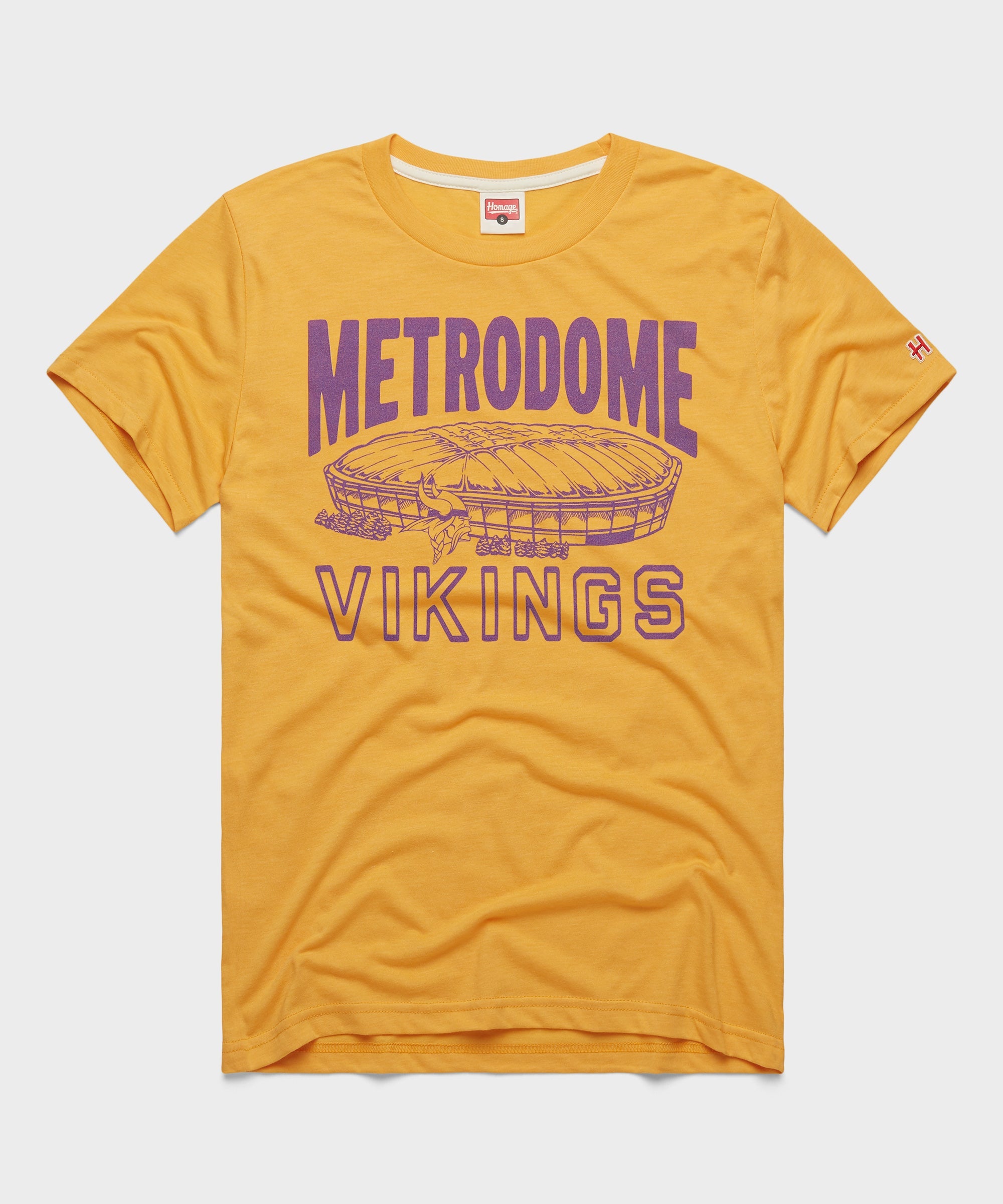 Minnesota Vikings Metrodome