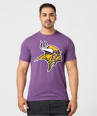 Minnesota Vikings '13