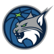  Minnesota Lynx Logo