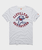 Mlb X Grateful Dead X Guardians