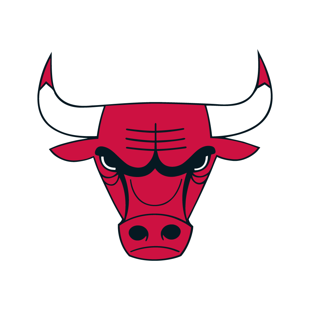  Chicago Bulls Logo