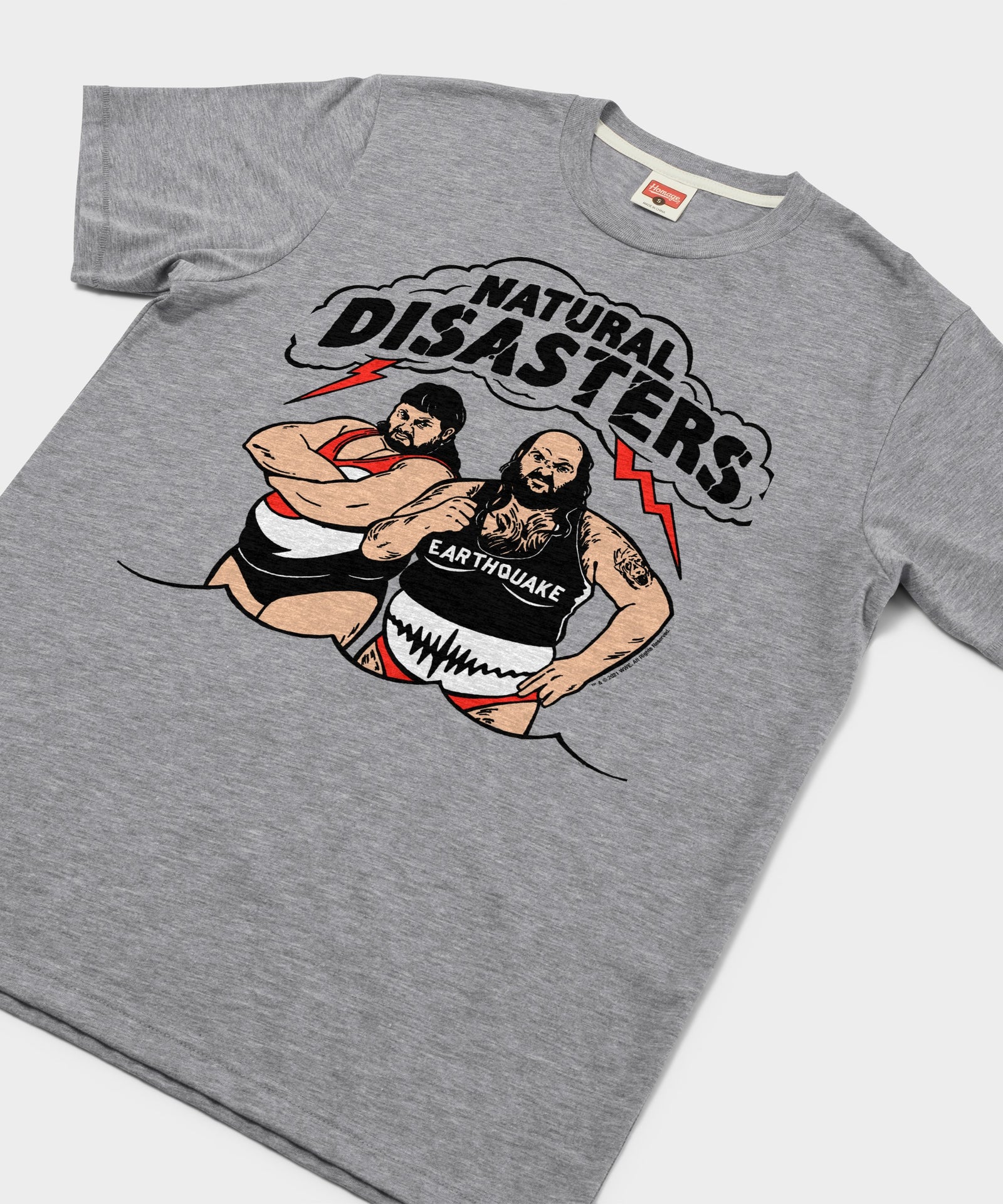 Natural Disasters Tag Team