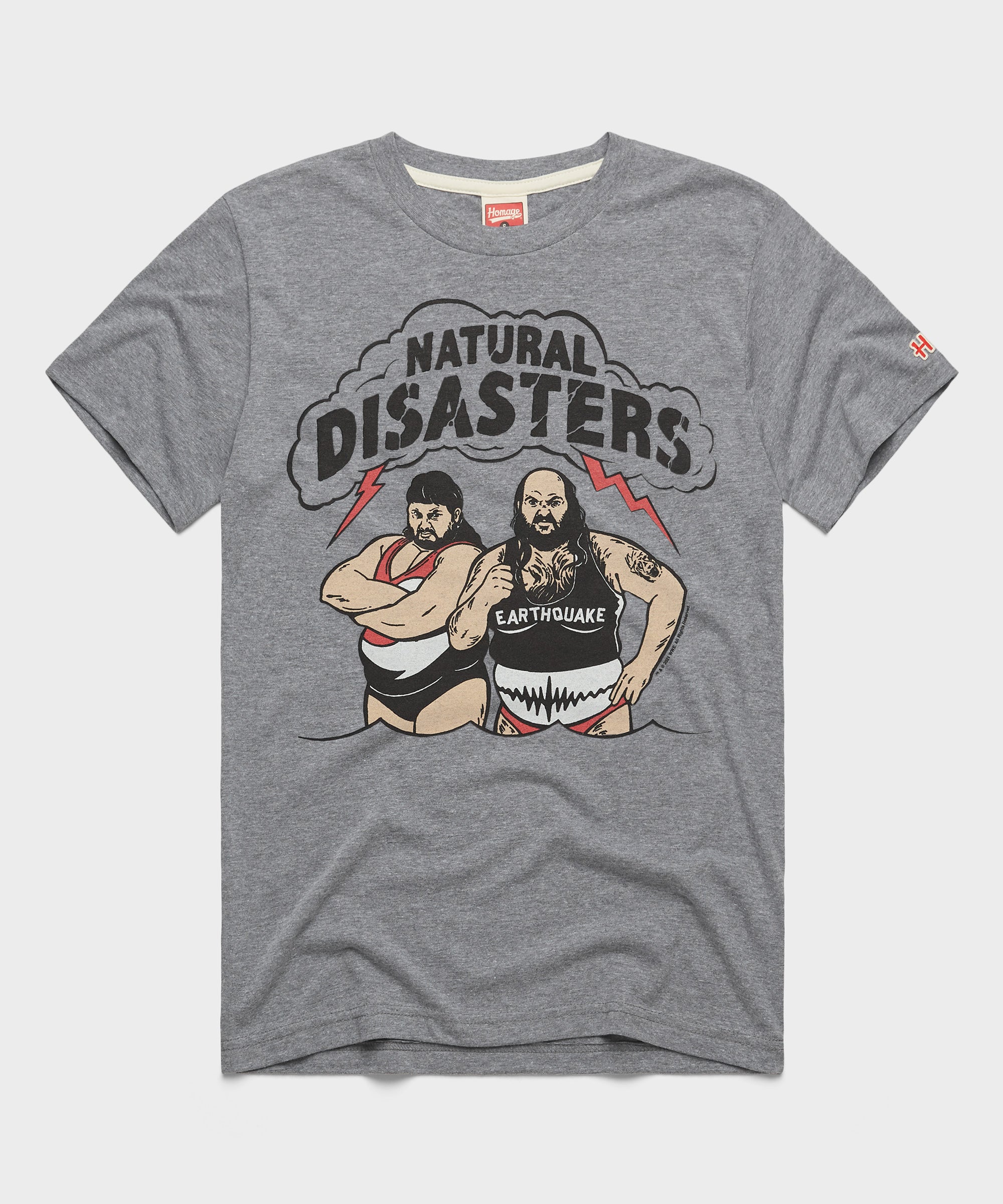 Natural Disasters Tag Team