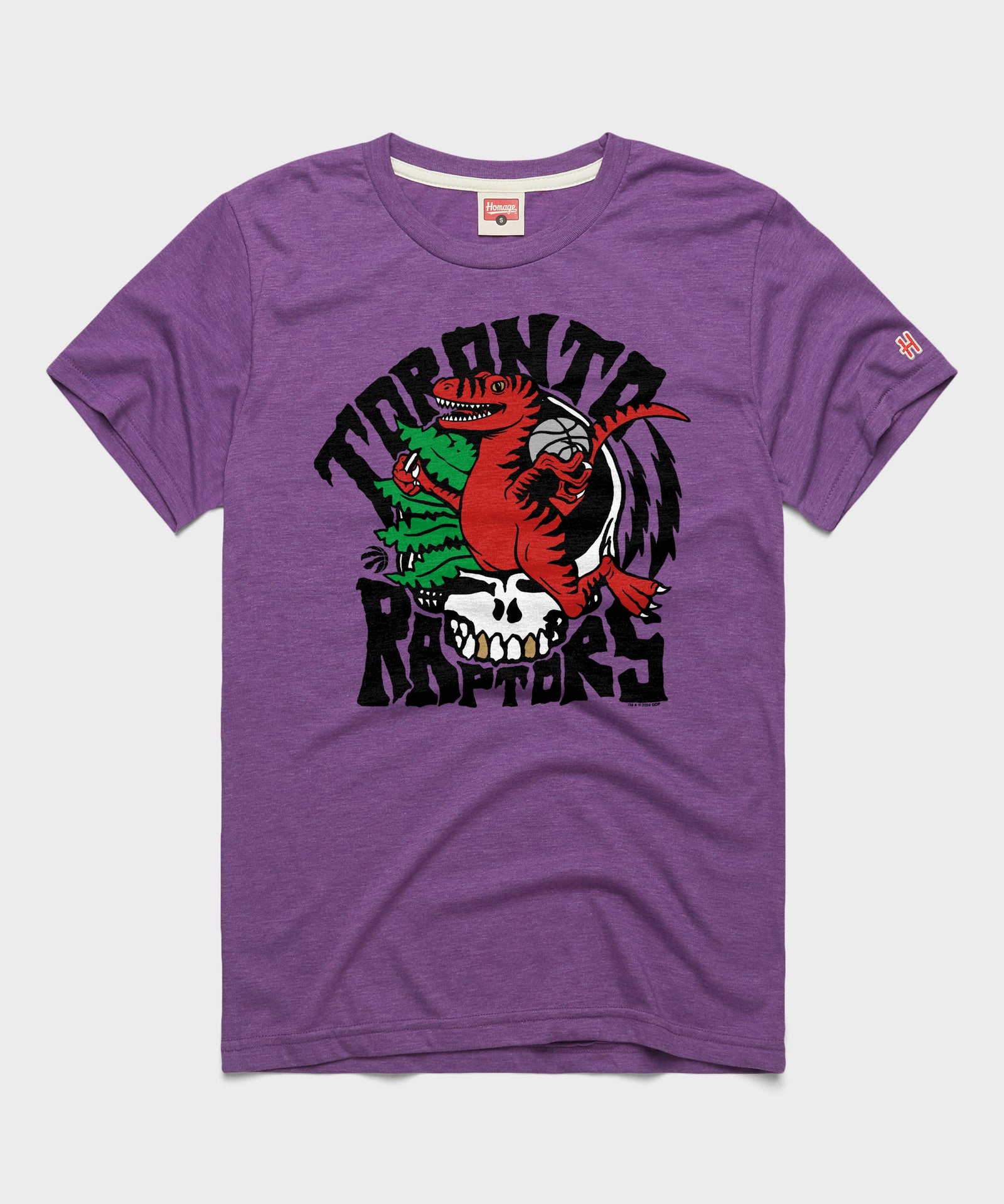 Nba X Grateful Dead X Raptors Skull