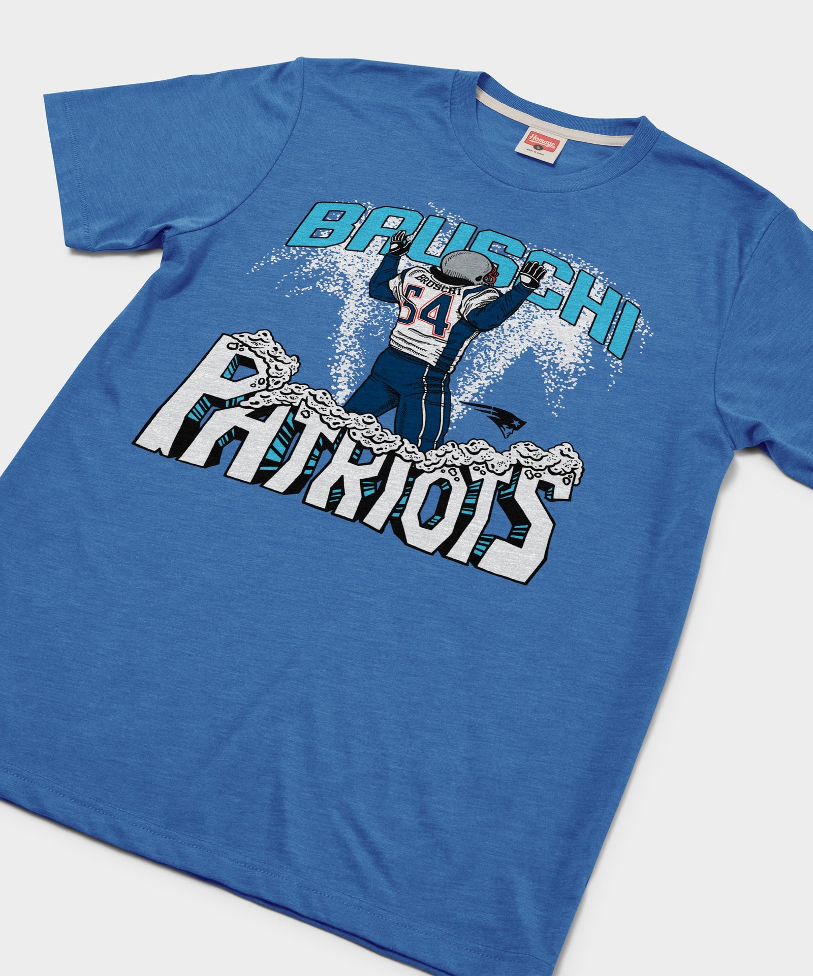 New England Patriots Tedy Bruschi Snow