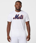New York Mets Jersey Logo '15