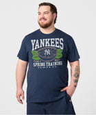 New York Yankees Grapefruit League