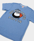 Not Now Arctic Puffin