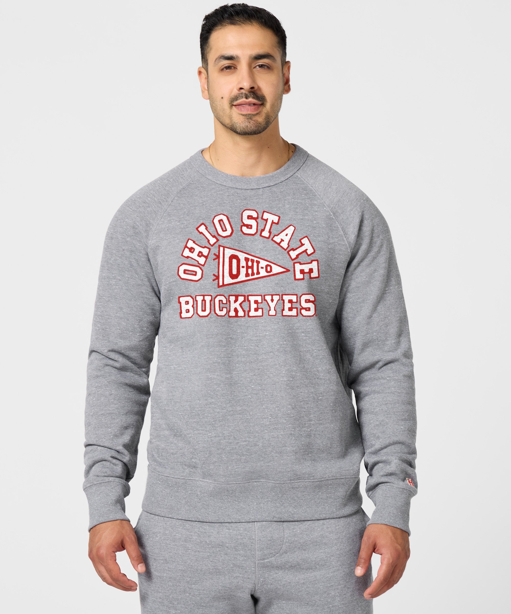 Ohio State Buckeyes Pennant Crewneck