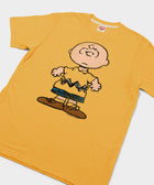 Peanuts Charlie Brown Character