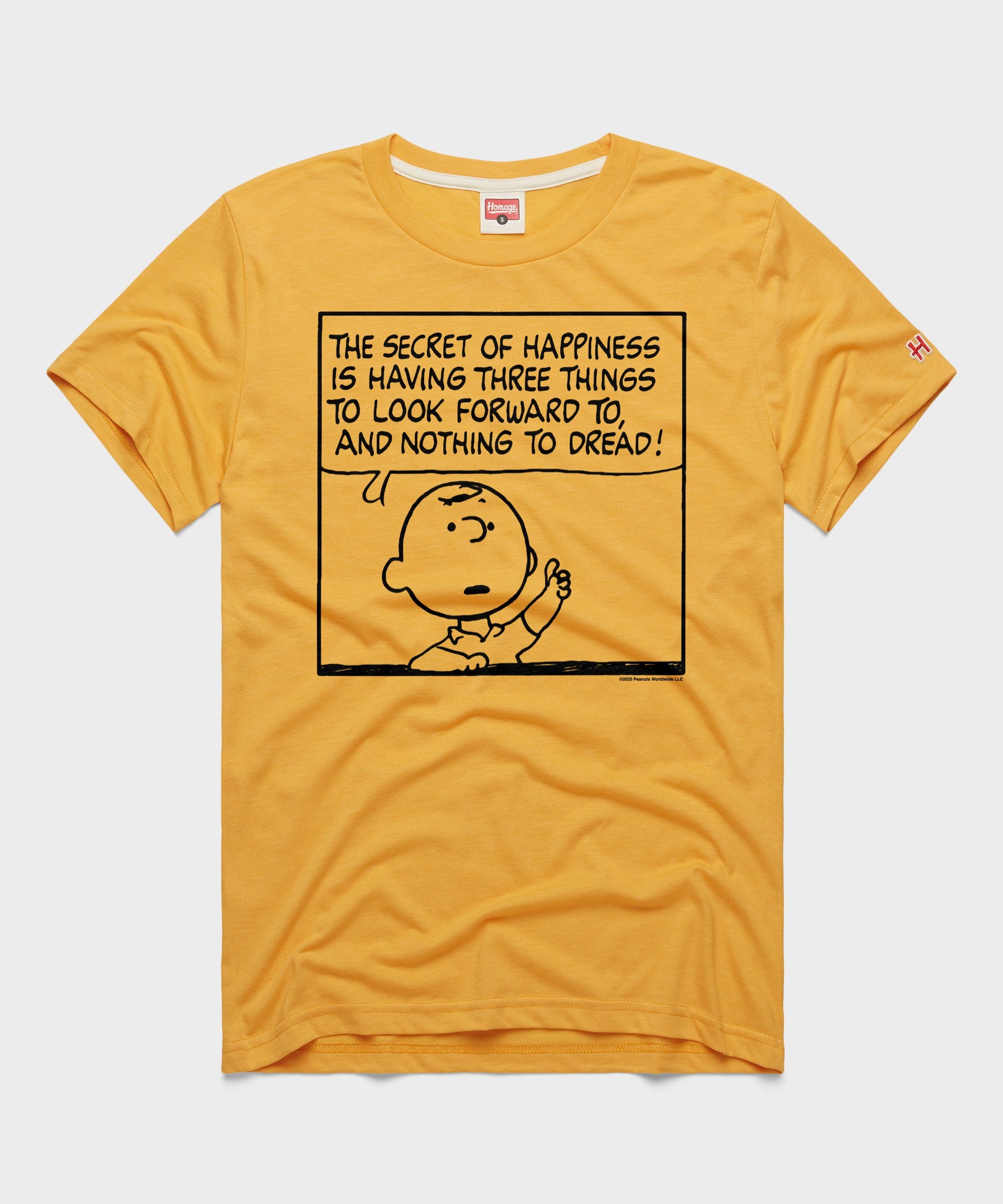 Peanuts Charlie Brown Secret Of Happiness