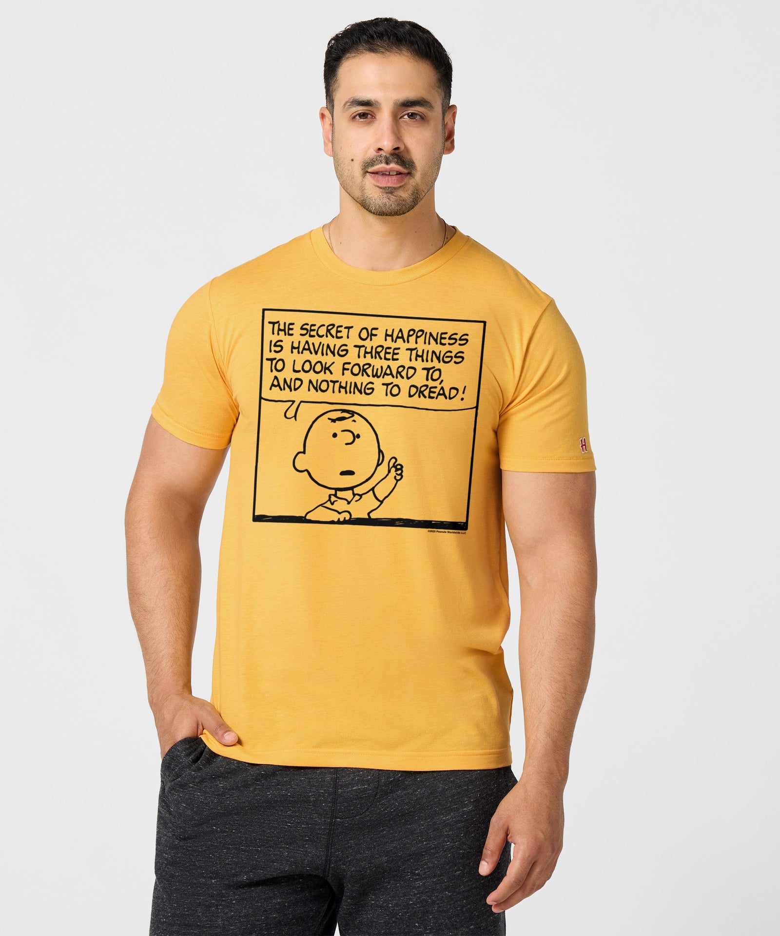 Peanuts Charlie Brown Secret Of Happiness