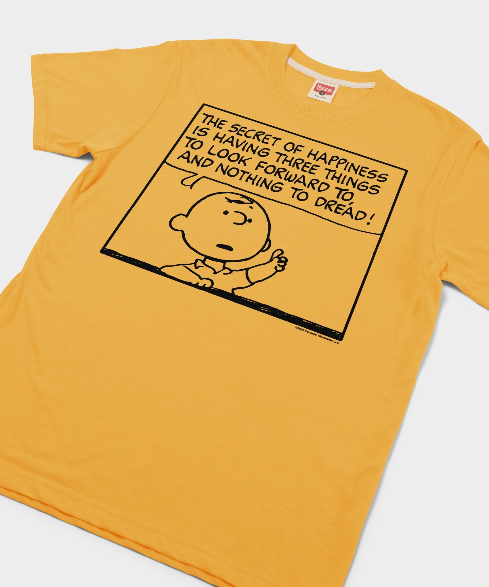 Peanuts Charlie Brown Secret Of Happiness