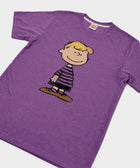 Peanuts Schroeder Character