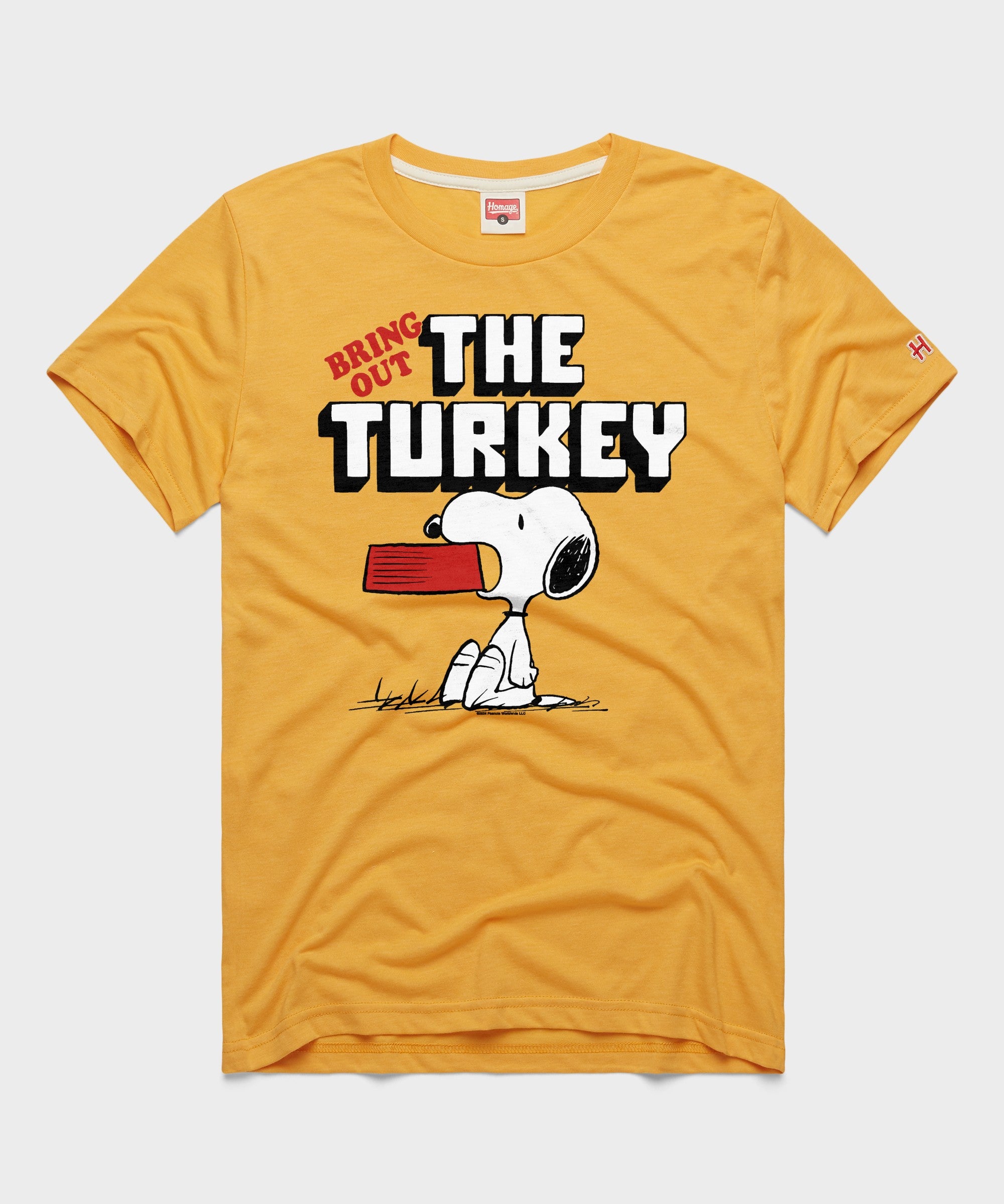 Peanuts Snoopy Bring Out The Turkey